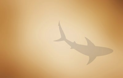 Ein Haifisch als Grafik. Kampagne für Schwimmtrainer